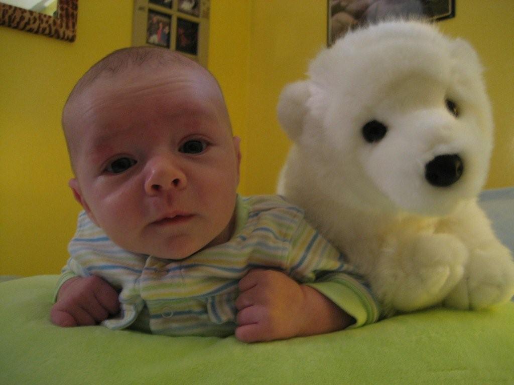 Hanging w Bear